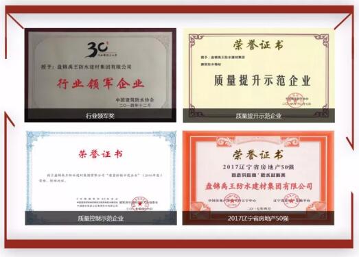 防水材料品牌榮譽|禹王集團榮獲中國建材企業200強等
