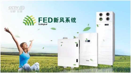 FED新風 許你繁華似錦的前程