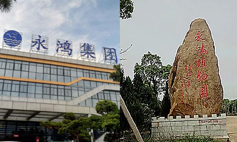 品牌大事|中銳梅開二度勢如破竹，福州廈門連開大單
