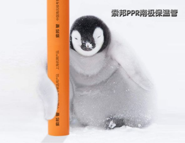 品牌產品|索邦PPR南極保溫管，企鵝寶寶最愛的高端管材