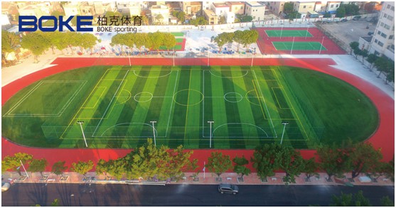 柏克體育：不斷追求卓越，品質鑄就品牌