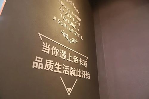 【2020廣州建博會(huì)】帝卡斯藝術(shù)漆獨(dú)領(lǐng)風(fēng)騷 展館人氣爆棚！