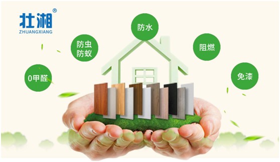 壯湘引領綠色環保生活 守護您與家人的健康