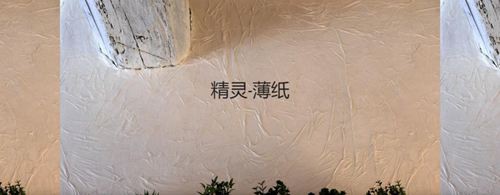 森尼迪克藝術(shù)涂料攜帶150年的浪漫品牌，來到中國誠招加盟