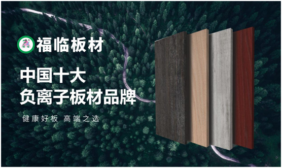 福臨板材定制格調書柜，滋養“書香女人”很有妙招